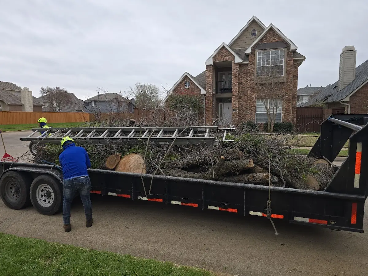 Expert Tree Pest Control with proper safety equipment in Kit Carson
